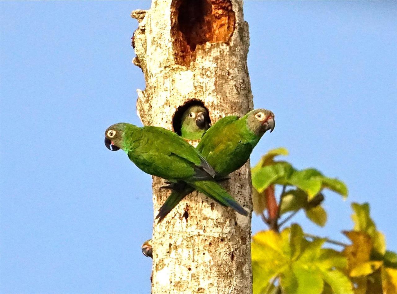 Grand Amazon Lodge And Tours Paraíso Extérieur photo